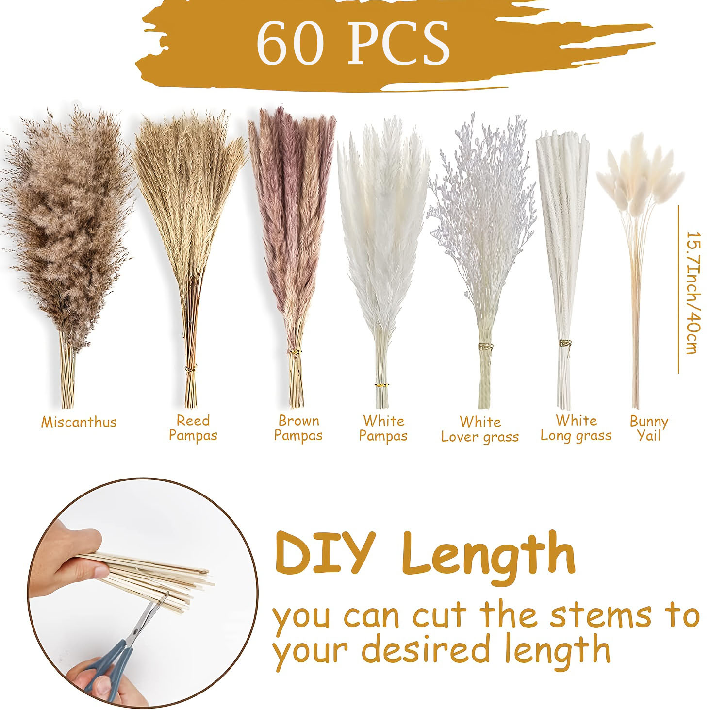 60 Pieces Dried Pampas Grass F - Wedding Floral Supply avis et prix