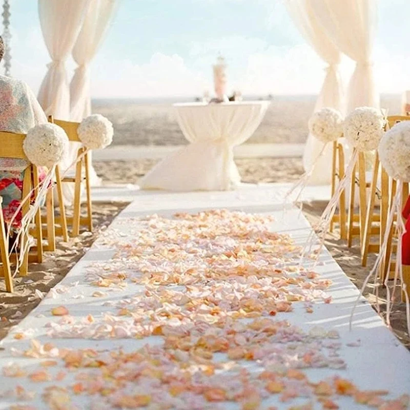 Romantic White Carpet Wedding  - Aisle Runner White avis et prix