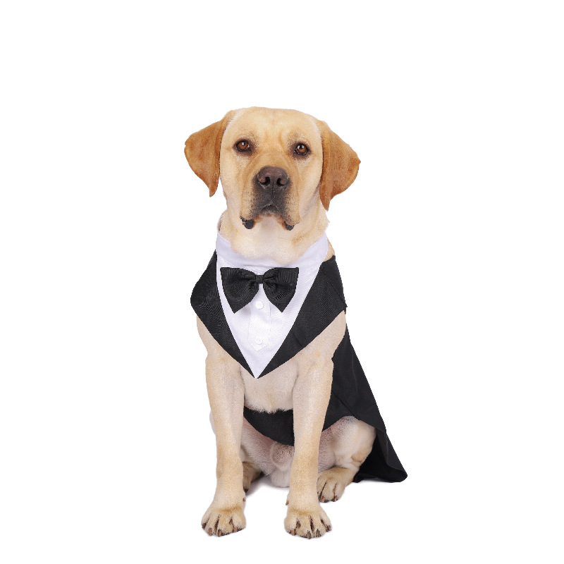 Pet Dog Clothes Fashion Party  - Suit Supply Wedding Party avis et prix