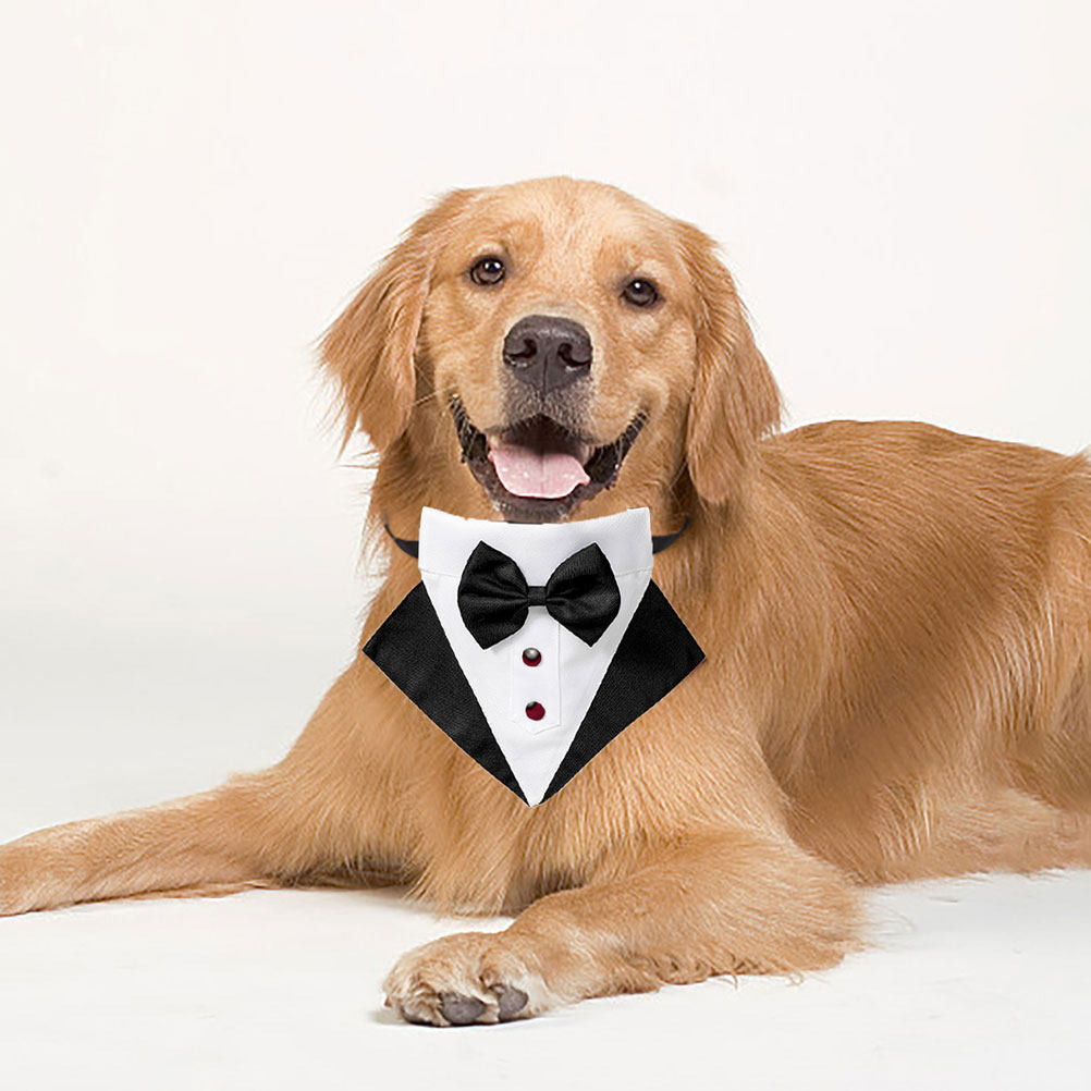 1 Set Dog Suit and Bandana Tux - Suit Supply Wedding Party avis et prix